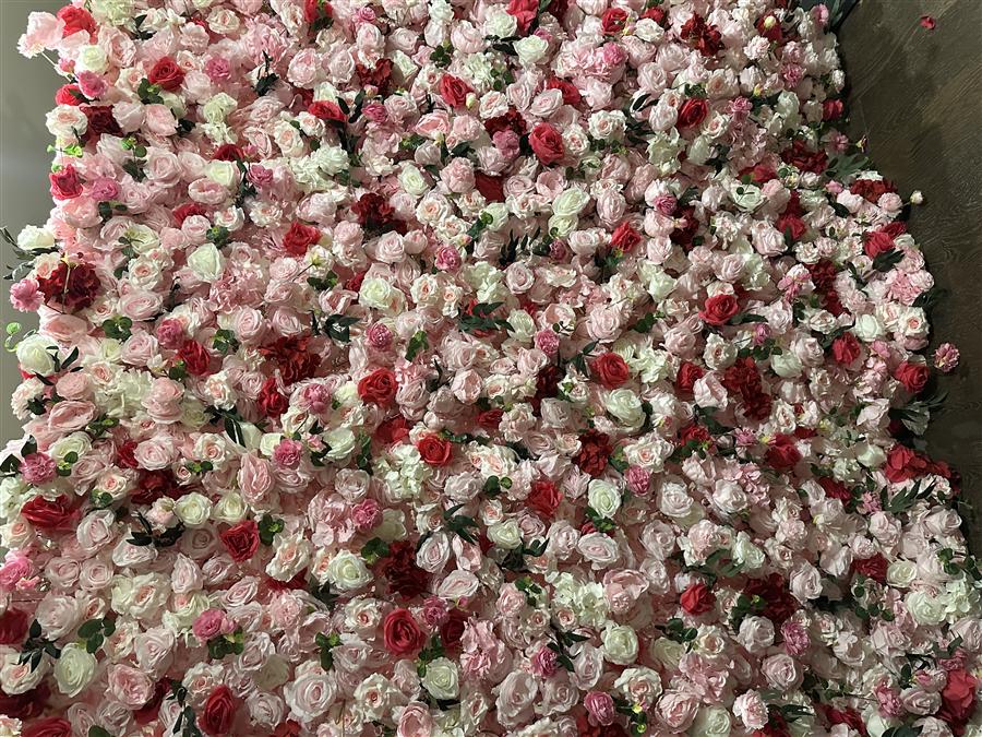 Close-up of a blush, ivory, and red rose wallflower backdrop
